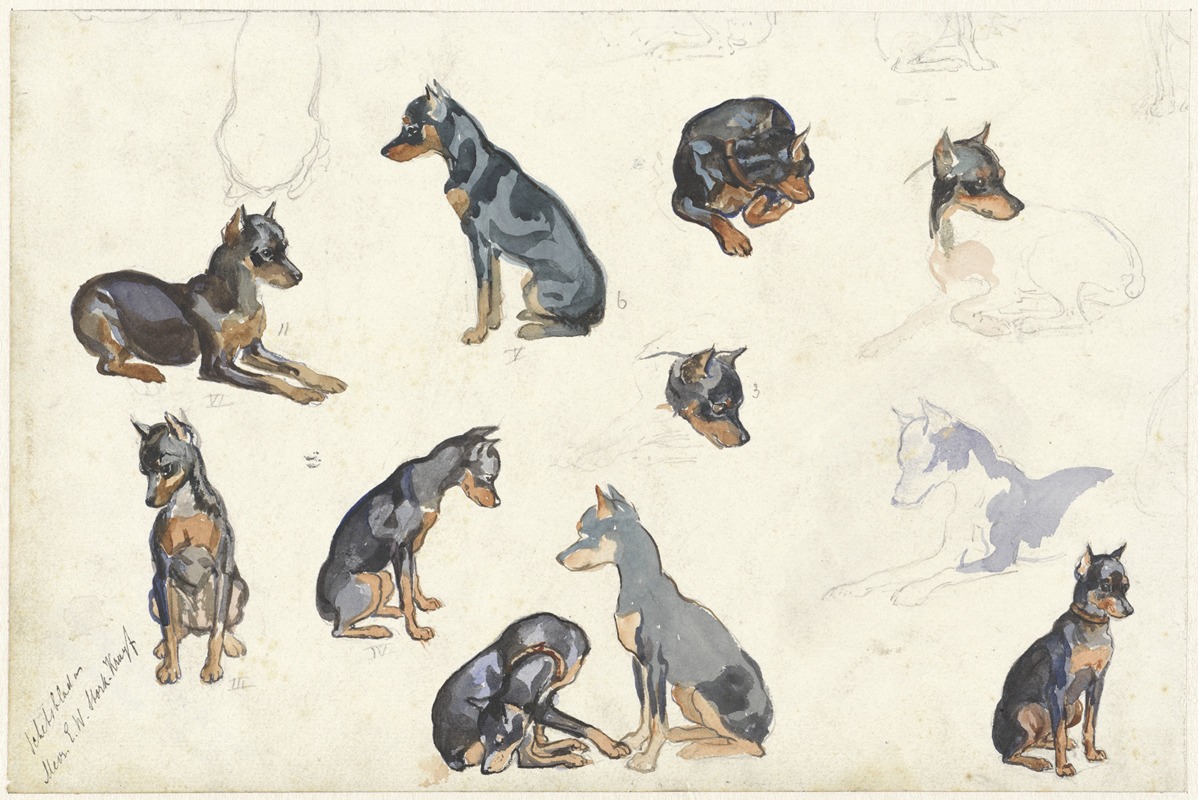 Studies van een hond by Anna Maria Kruijff, 1880 - 1946 — digital art print download