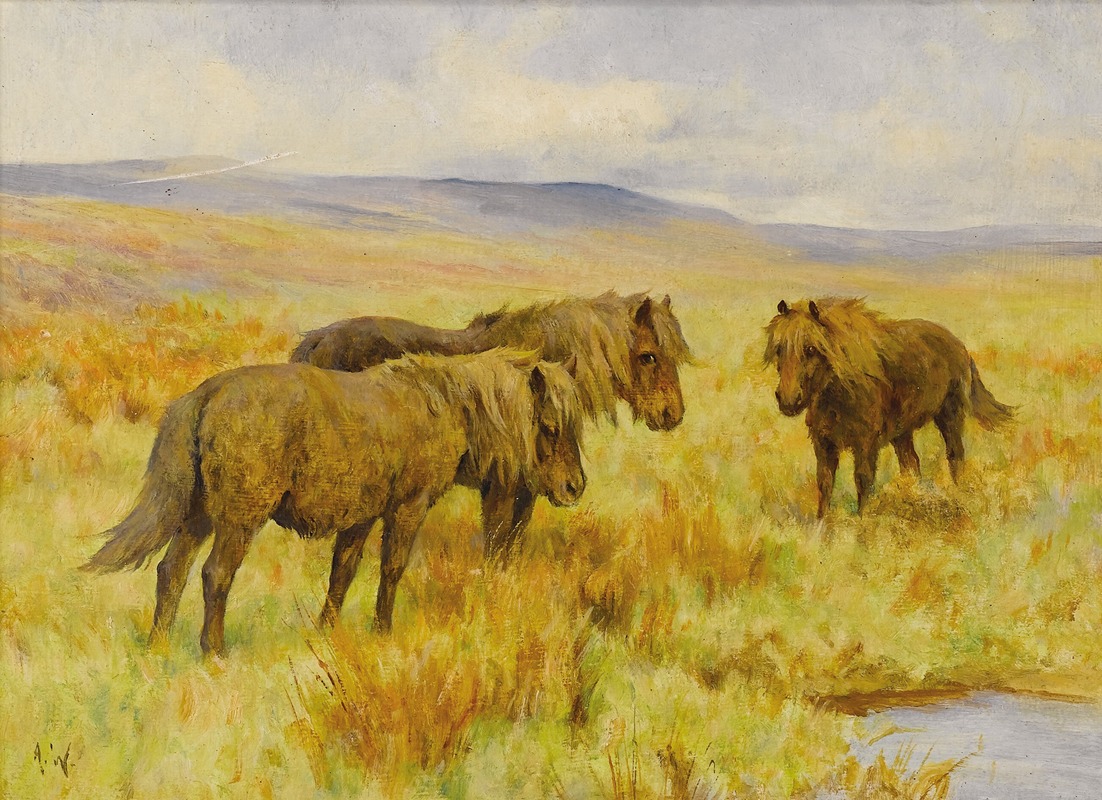 Shetland Ponies by Артур Уордл — digital art print download