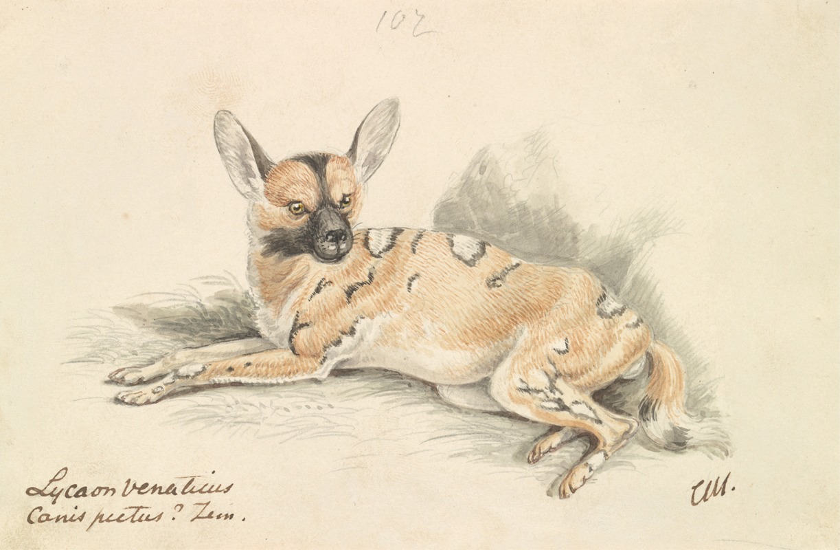 African Wild Dog by Чарльз Гамильтон Смит, 1837 — digital art print download