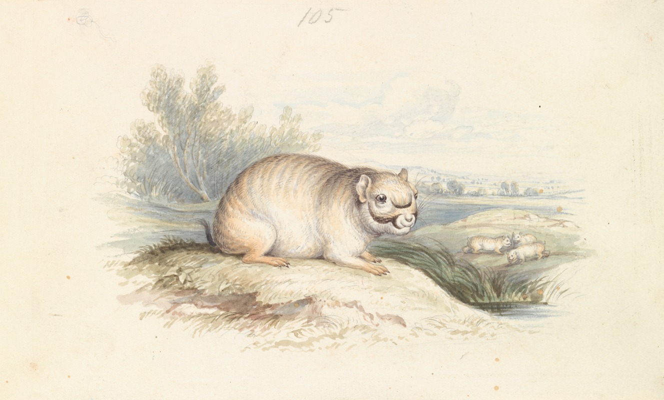 Plains Viscacha by Чарльз Гамильтон Смит, 1837 — digital art print download