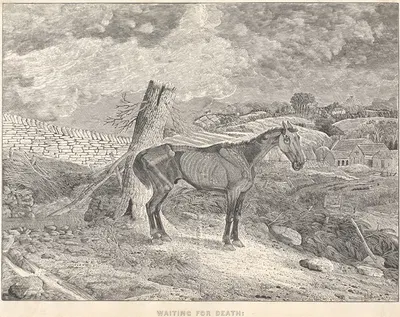 Waiting for Death by Thomas Bewick, 1832 — digital art print download
