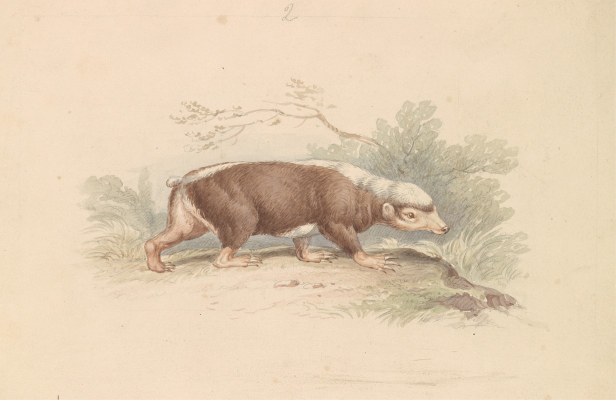 Sunda Stink Badger by Charles Hamilton Smith, 1837 — digital art print download