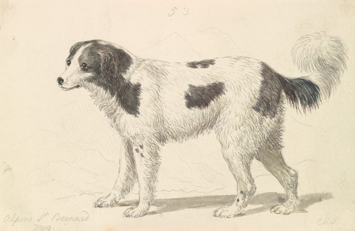 The Alpine, or Great St. Bernard Dog by Чарльз Гамильтон Смит, 1837 — digital art print download
