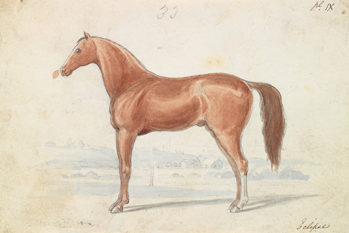 The English Race-Horse — Charles Hamilton Smith