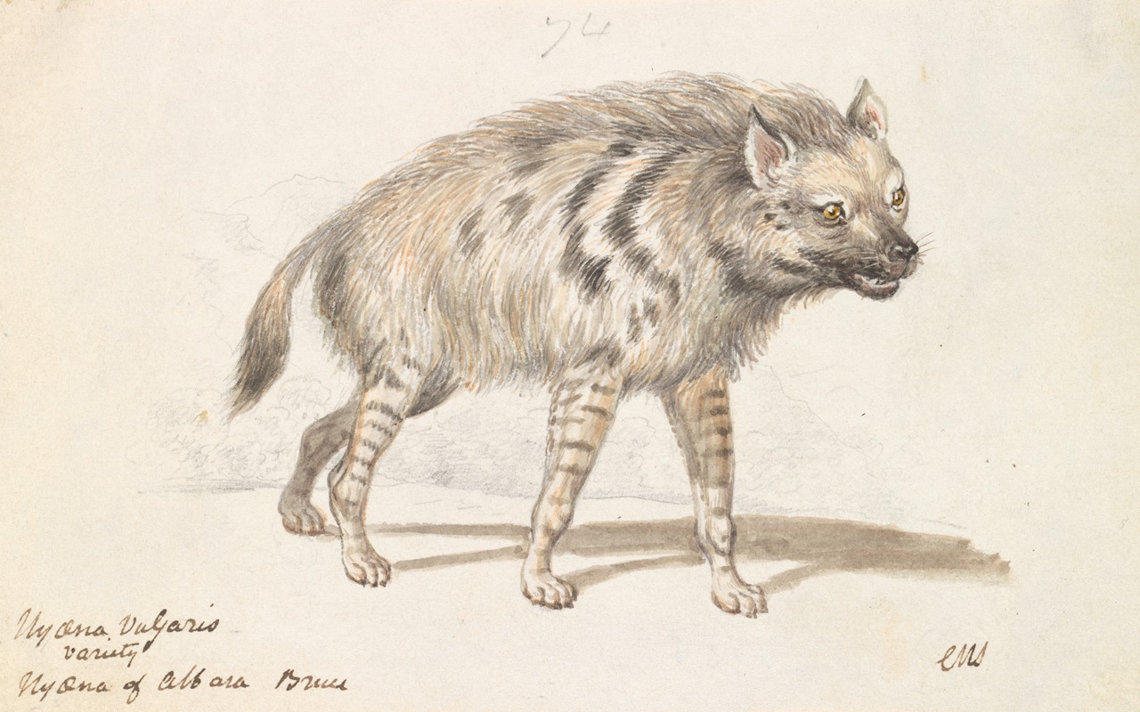 The Hyena of Albara — Charles Hamilton Smith