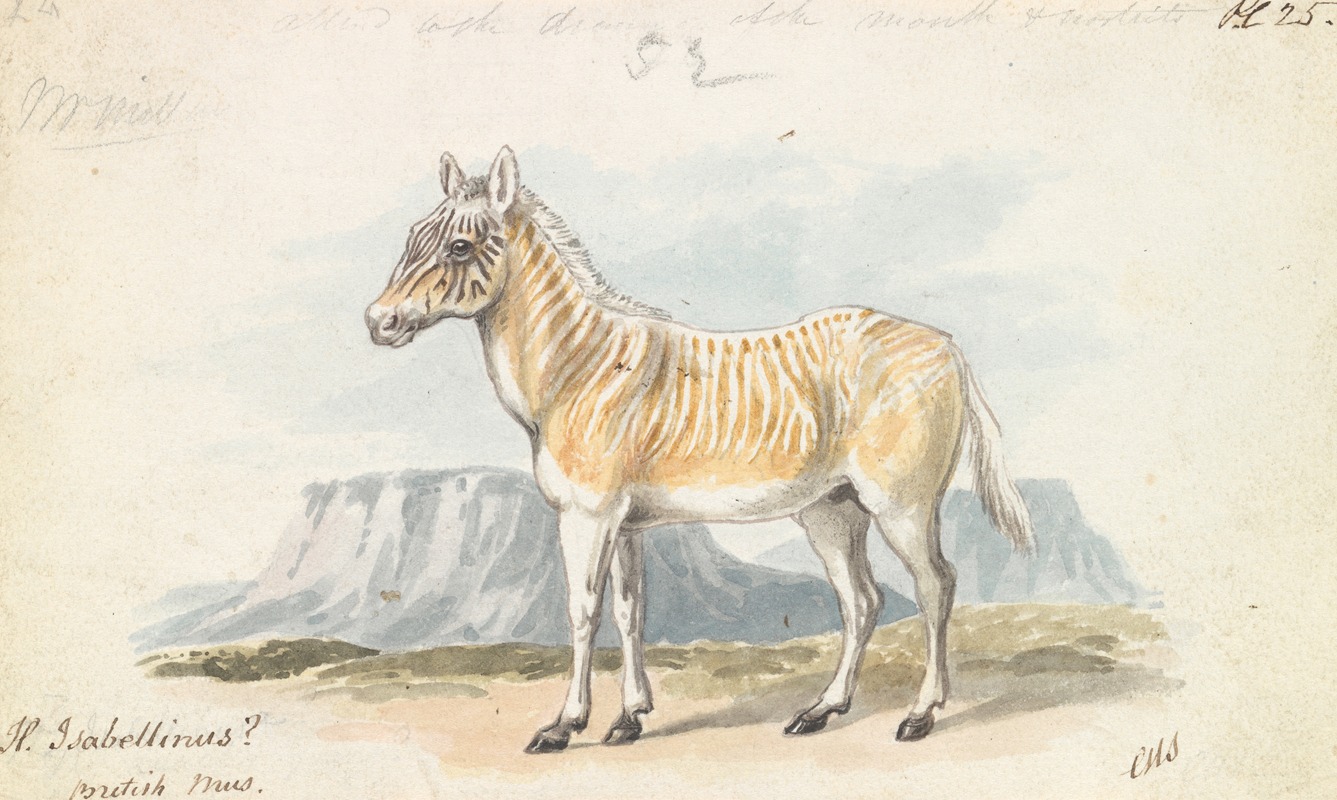 The Isabella Quagga by Чарльз Гамильтон Смит, 1837 — digital art print download