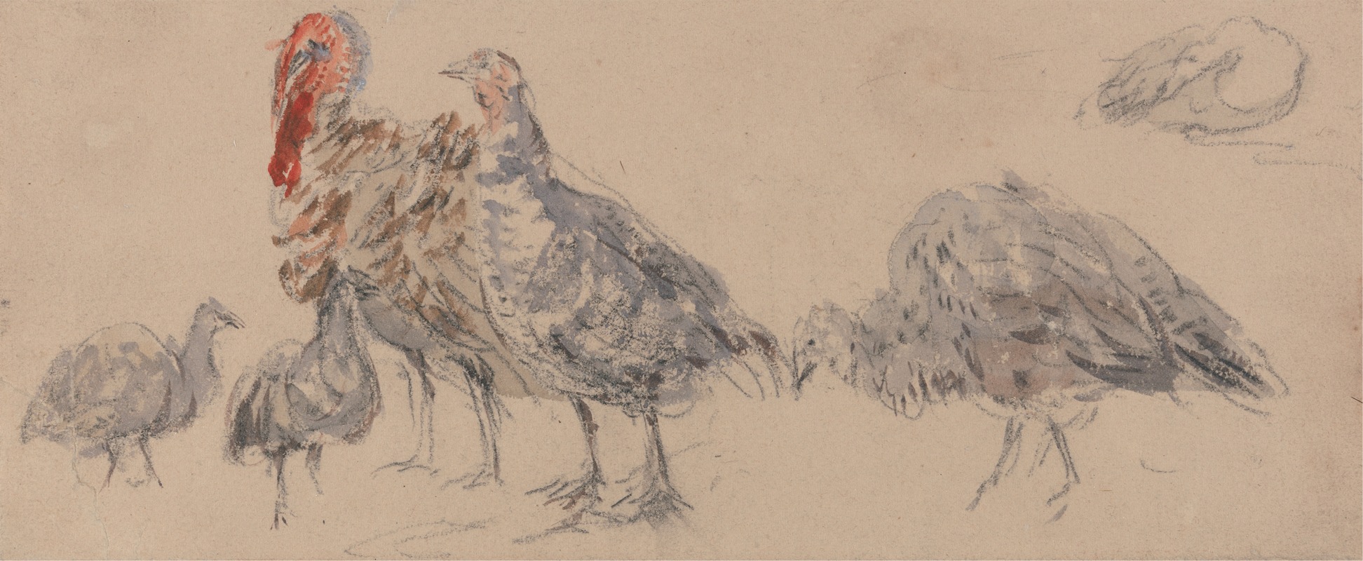 Study of Turkeys by Дэвид Кокс — digital art print download