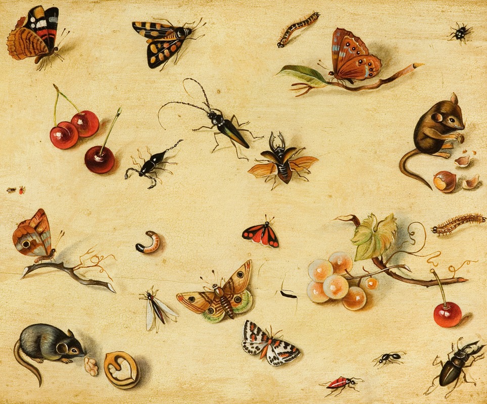 Flora and Fauna by Голландская школа — digital art print download