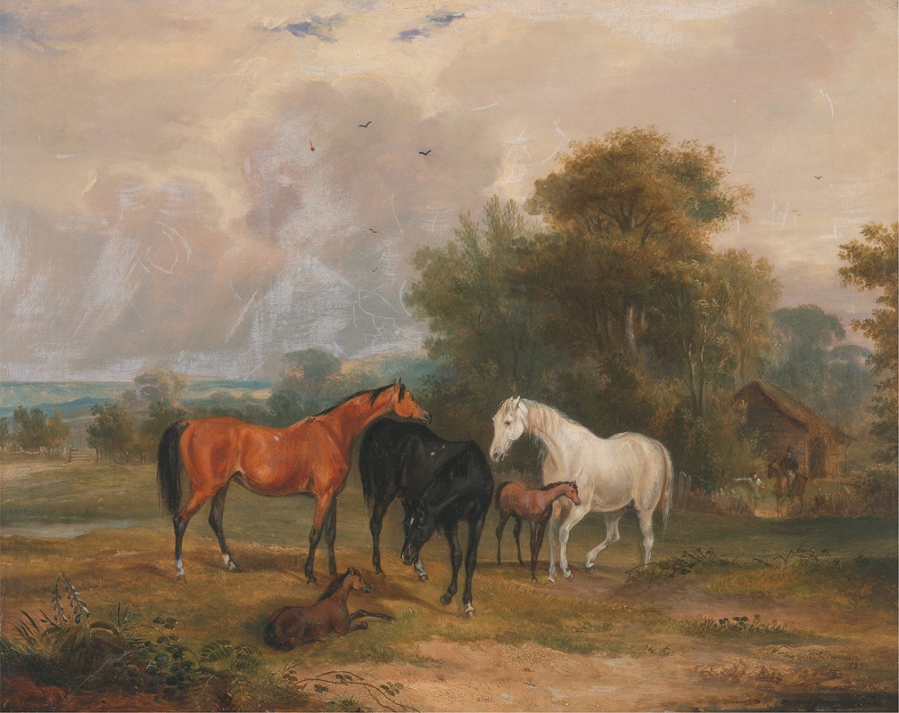 Horses Grazing; Mares and Foals in a Field — Francis Calcraft Turner