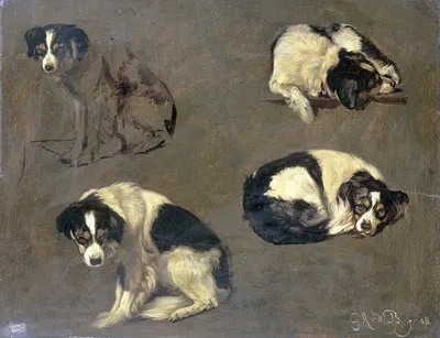 Four Studies of a Dog by Гийом Анн ван дер Бругген, 1868 — digital art print download