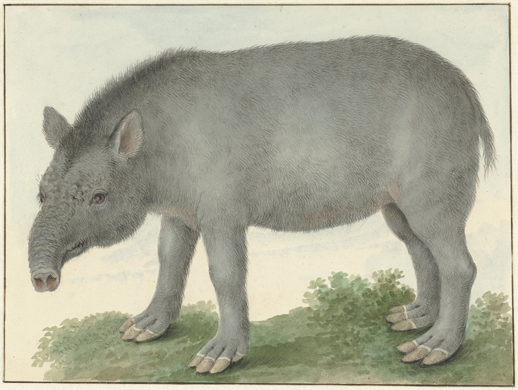 Tapir by Isaac van Haastert, 1825 — digital art print download