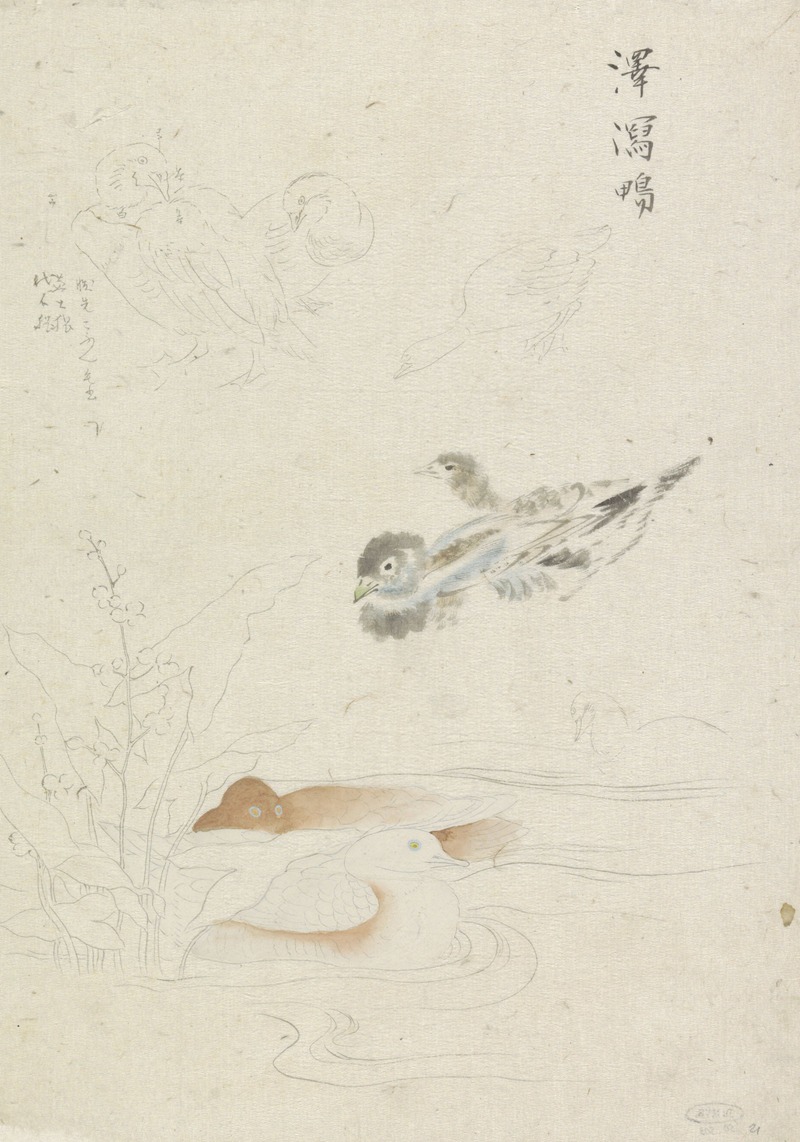 Watervogels by Ishikawa Kazan, 1800 - 1900 — digital art print download