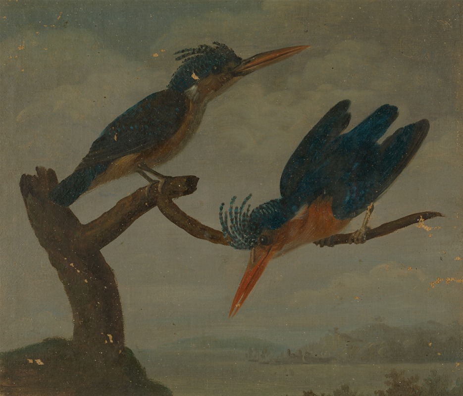 Two Kingfishers beside a Lake. by James Sowerby — digital art print download