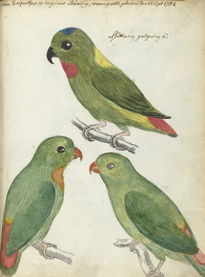 Oostindische parkieten by Ян Брандес, 1784 — digital art print download