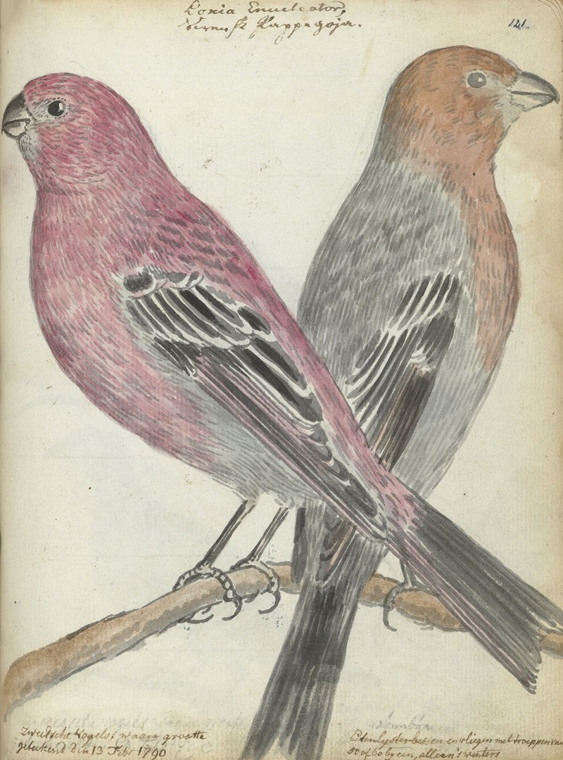 Zweedse vogels by Ян Брандес, 1790 — digital art print download