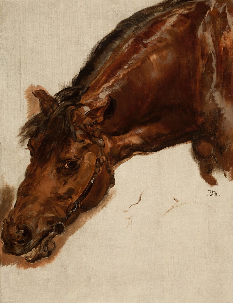 Study of a horse head by Ян Матейко, 1875 — digital art print download