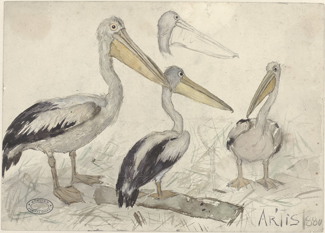 Pelicans in Artis Zoo by Ян ван Эссен, 1880 — digital art print download