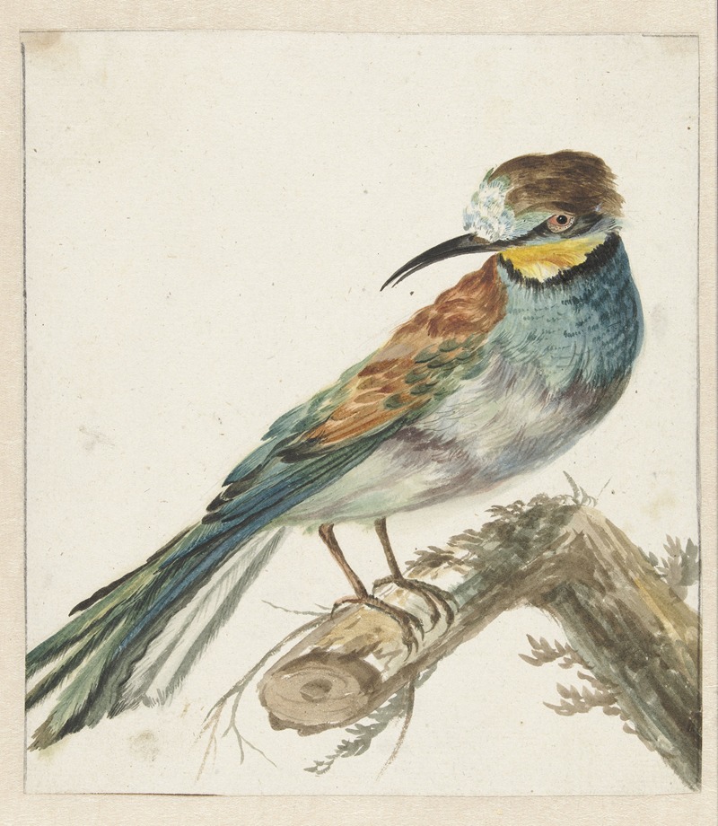 Bijeneter (Merops apiaster) by Ян Вейникс, 1650 - 1719 — digital art print download