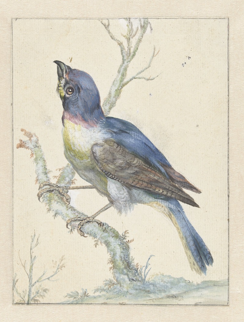 Lazuli Bunting by Ян Вейникс — digital art print download