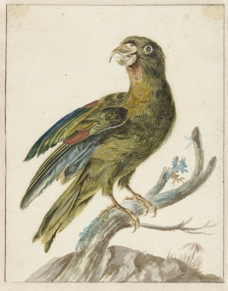 Parakeet by Ян Вейникс, 1670 - 1719 — digital art print download