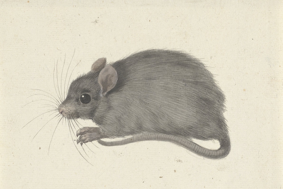 Muis, naar links by Жан Бернар, 1775 - 1833 — digital art print download