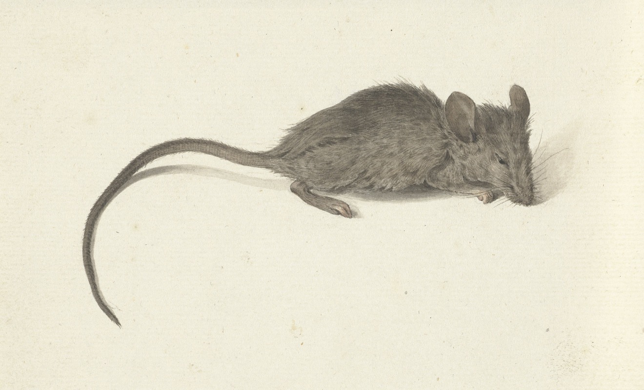 Muis, naar rechts by Жан Бернар, 1775 - 1833 — digital art print download