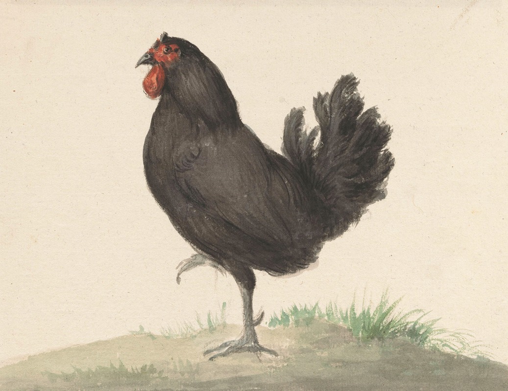 Staande zwarte kip by Жан Бернар, 1775 - 1833 — digital art print download