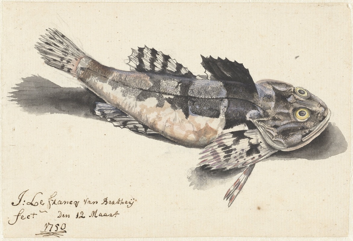Zeedonderpad by Johannes le Francq van Berkhey, 1750 — digital art print download