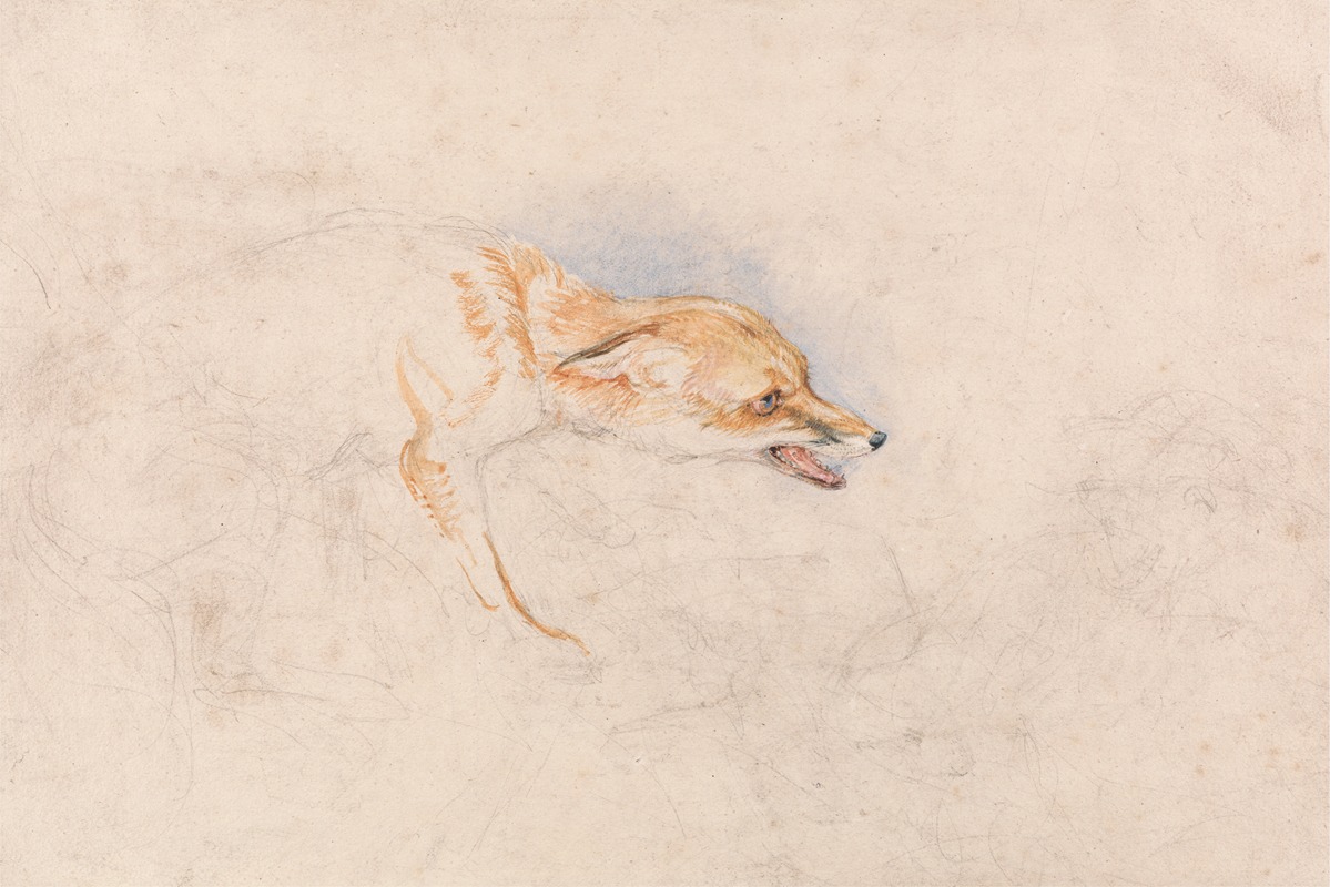 Study of a Crouching Fox, Facing Right by Джон Фредерик Льюис — digital art print download