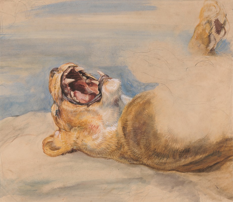 Study of a Lioness by Джон Фредерик Льюис — digital art print download