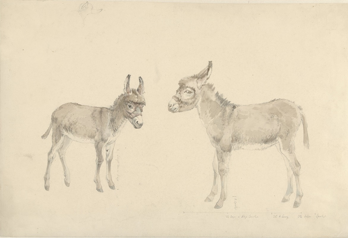Twee ezels by Иосиф Августус Книп, 1787 - 1847 — digital art print download