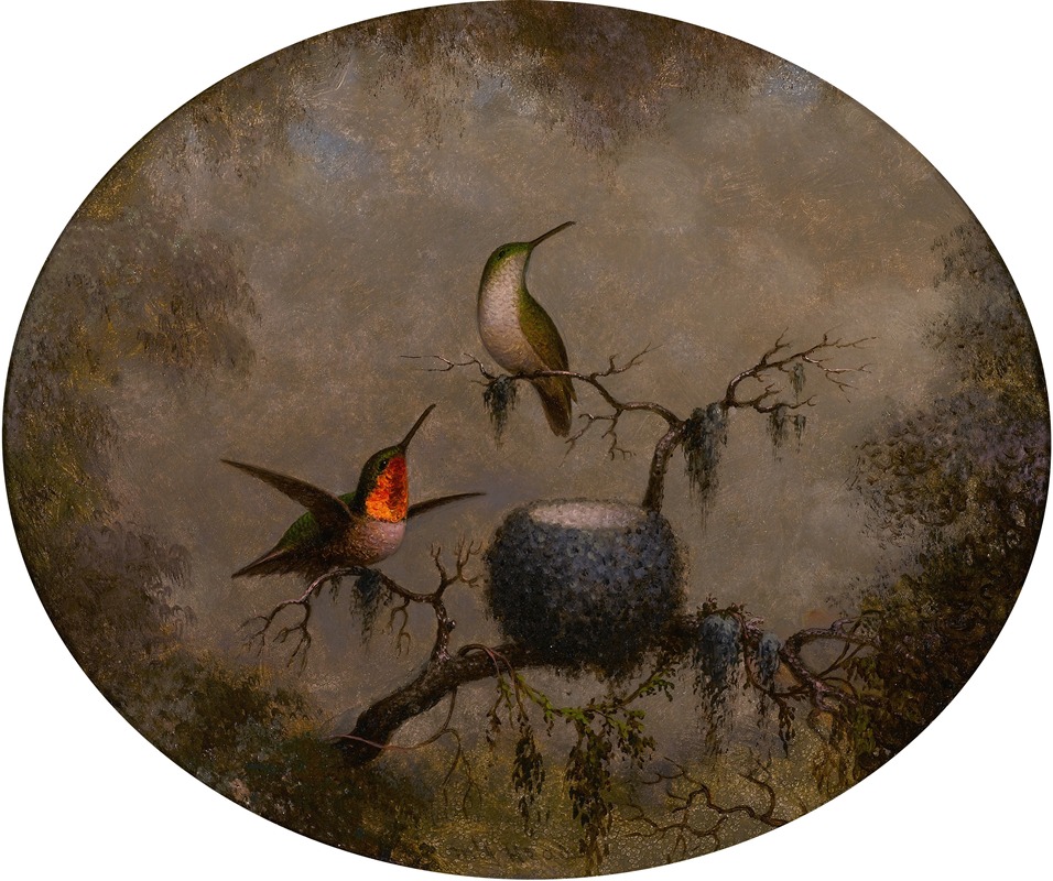 Hummingbirds and Their Nest — Мартин Джонсон Хид
