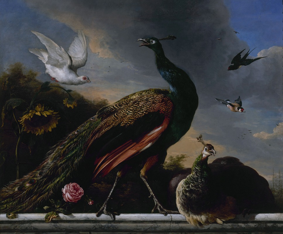 Peacocks, male and female — Melchior d'Hondecoeter