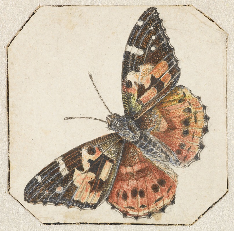 Distelvlinder (Vanessa cardui) by Питер Барбьерс, 1700 - 1800 — digital art print download