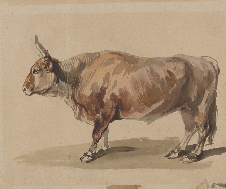 Study of a fawn ox — Пётр Михаловский