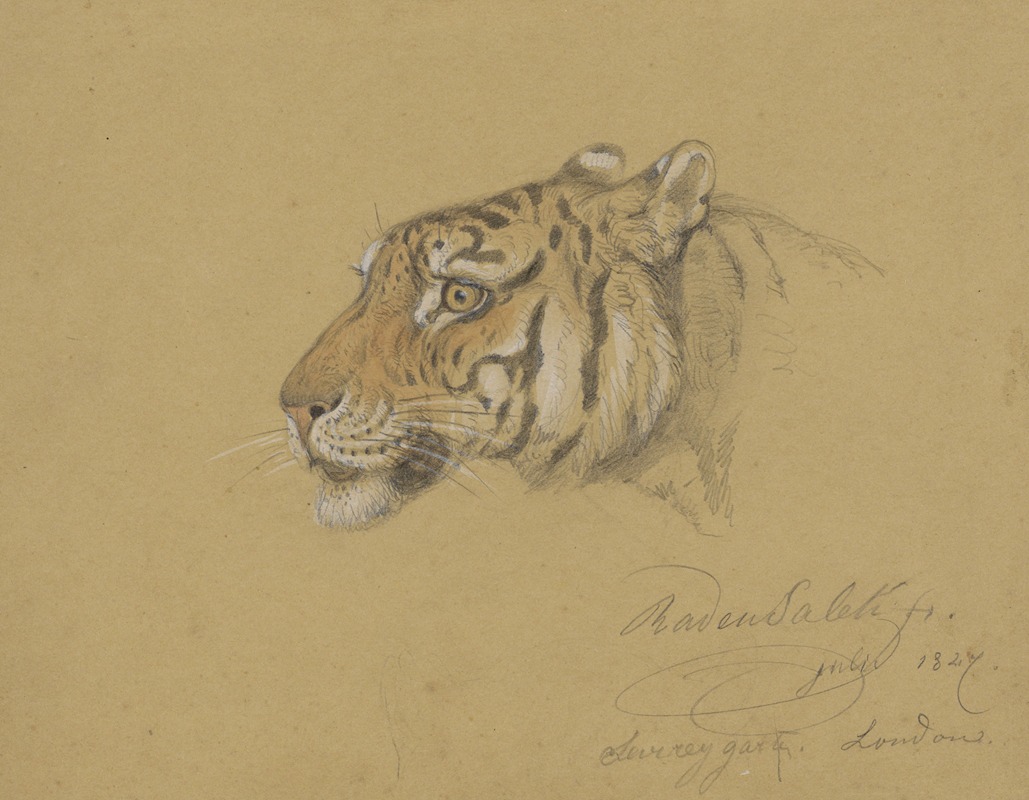 Kop van een Tijger by Раден Салех, 1847 — digital art print download