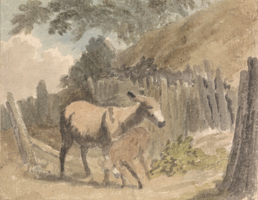 A Donkey and Foal by Robert Hills — digital art print download