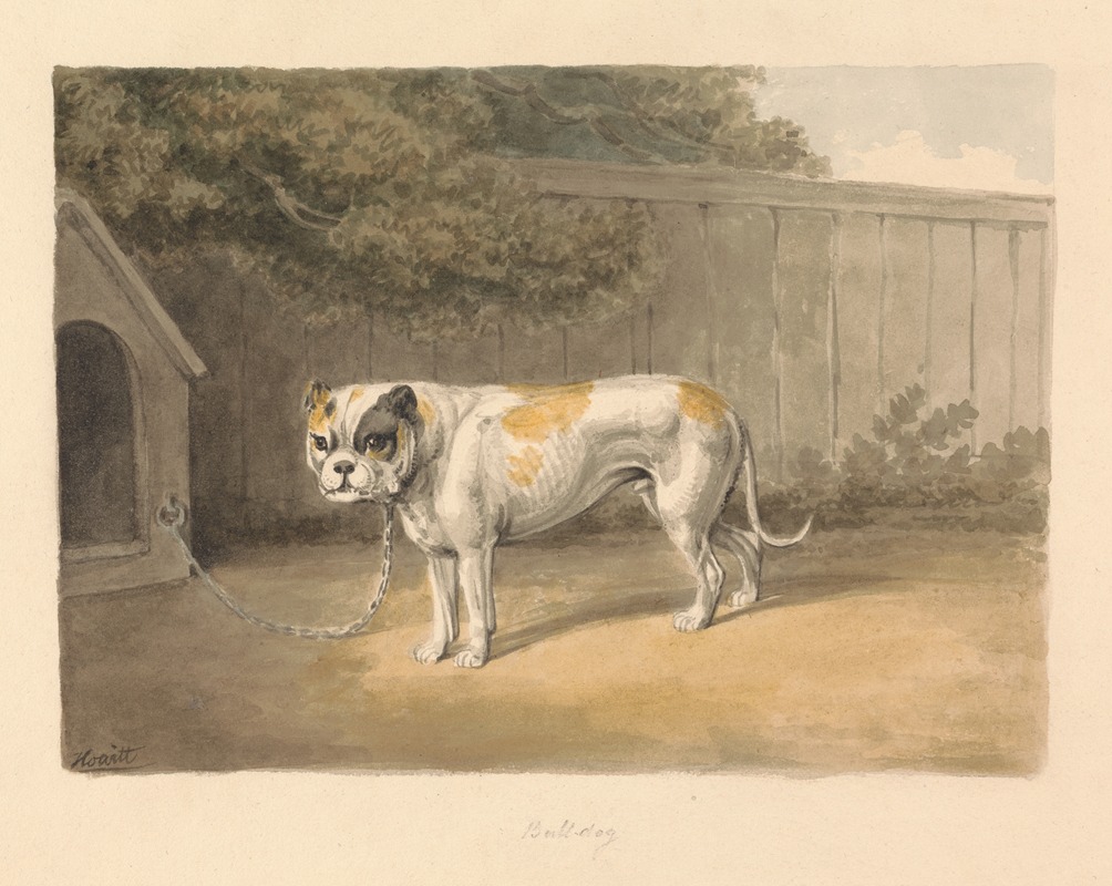 A Bulldog by Samuel Howitt — digital art print download