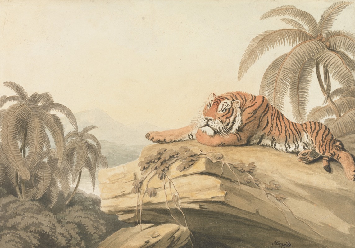 A Tiger Resting by Самуэль Ховитт, 1805 — digital art print download