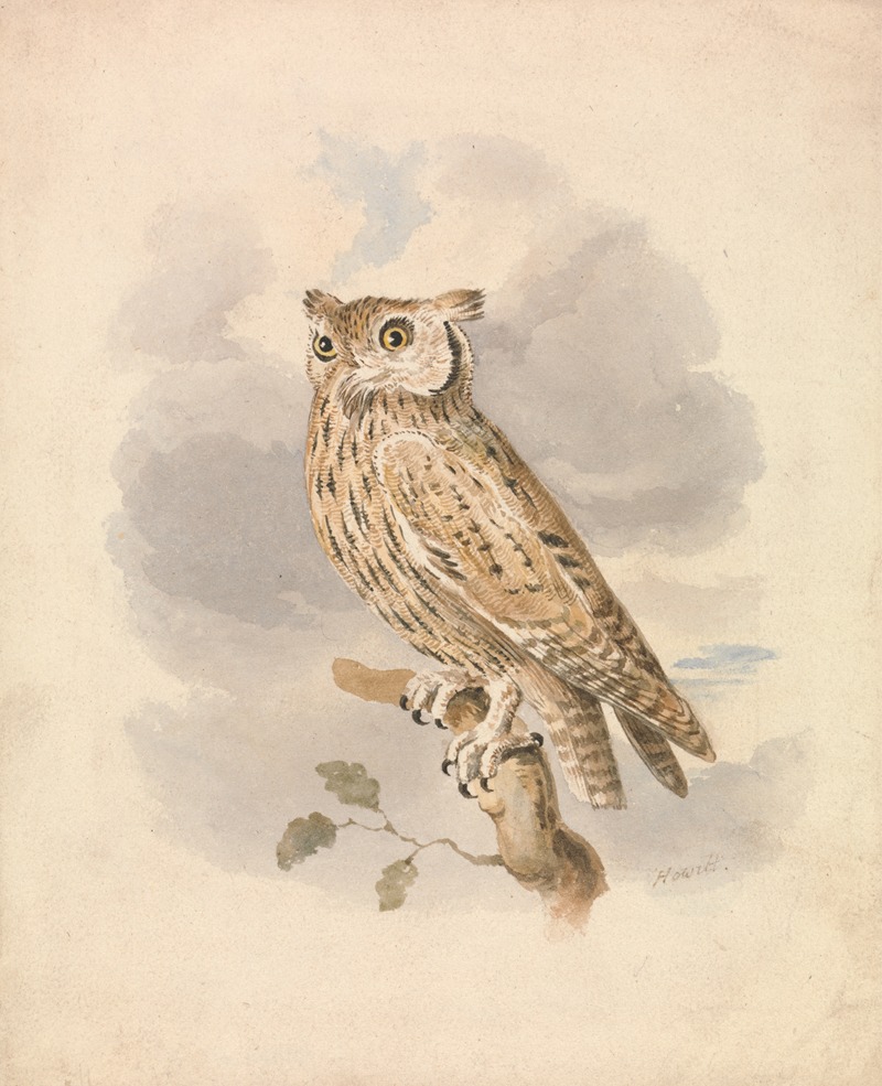 Scops Owl by Самуэль Ховитт — digital art print download