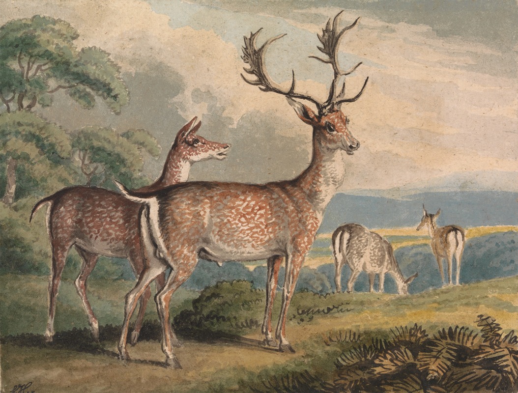 Stag, Doe and Fawns by Самуэль Ховитт — digital art print download