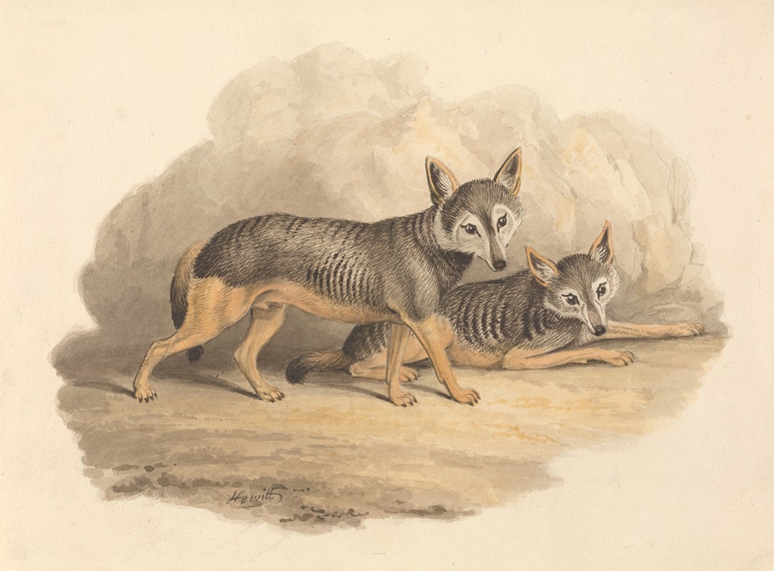 Two Hyenas by Самуэль Ховитт — digital art print download