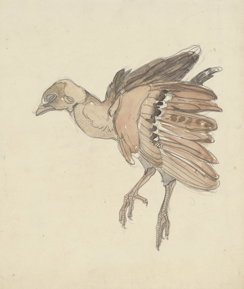 Dood vogeltje by Тео ван Хойтема, 1873 - 1917 — digital art print download