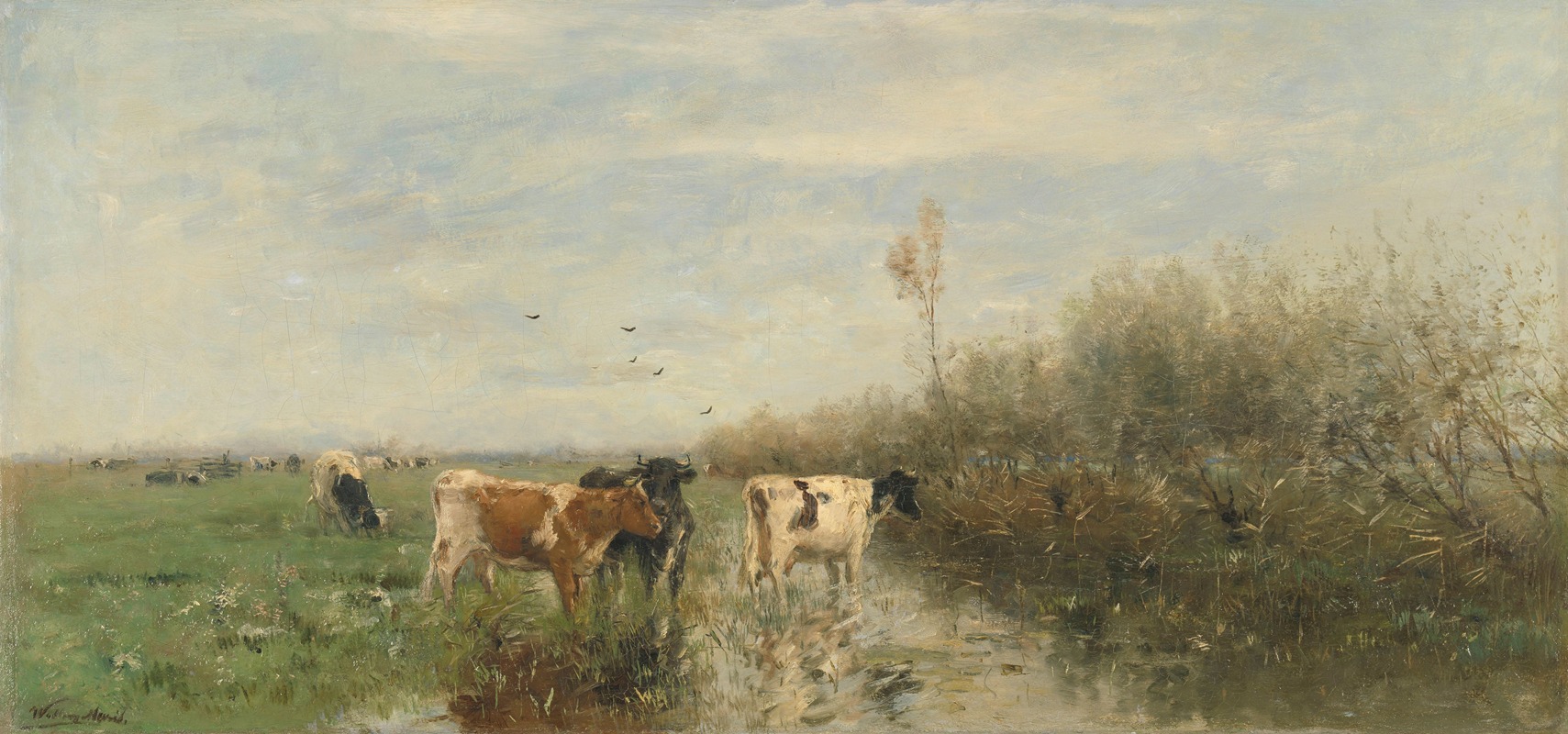 Cows in a Soggy Meadow — Виллем Марис