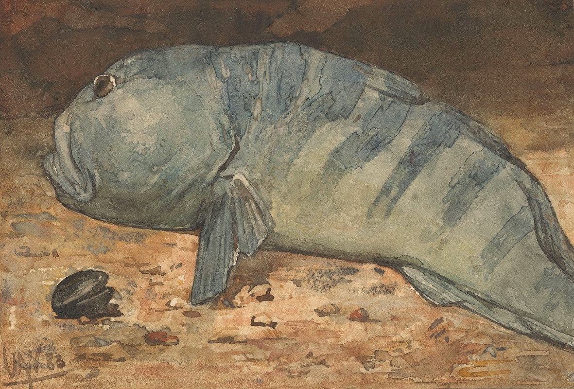 Side View of a Fish by Виллем Витсен, 1883 — digital art print download