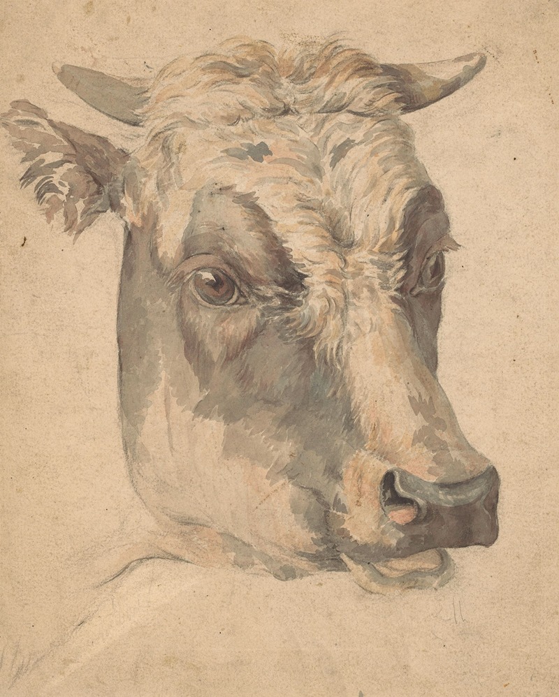 Kop van een koe by Вутер Иоганнес ван Троствайк, 1792 - 1810 — digital art print download