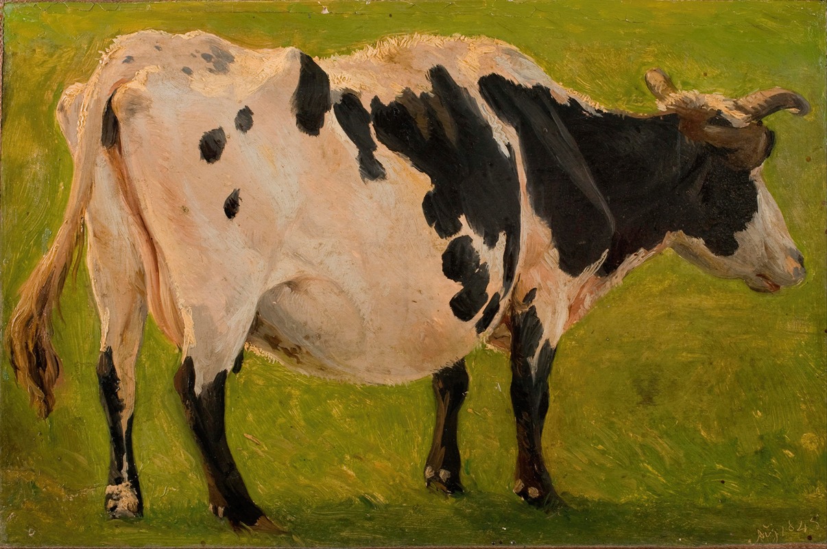 Black and white cow standing. Study by Карло Далгас, 1845 — digital art print download