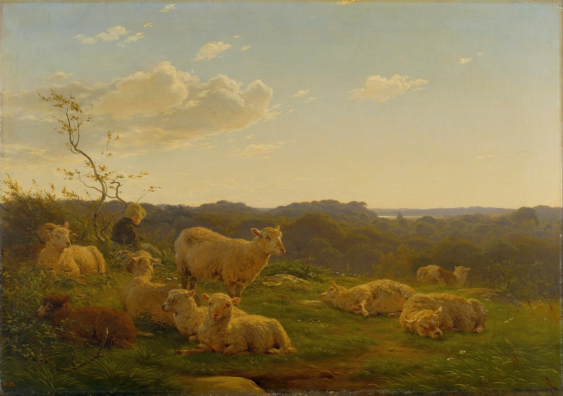 Sheep on a hill near Skarridsø — Carlo Dalgas