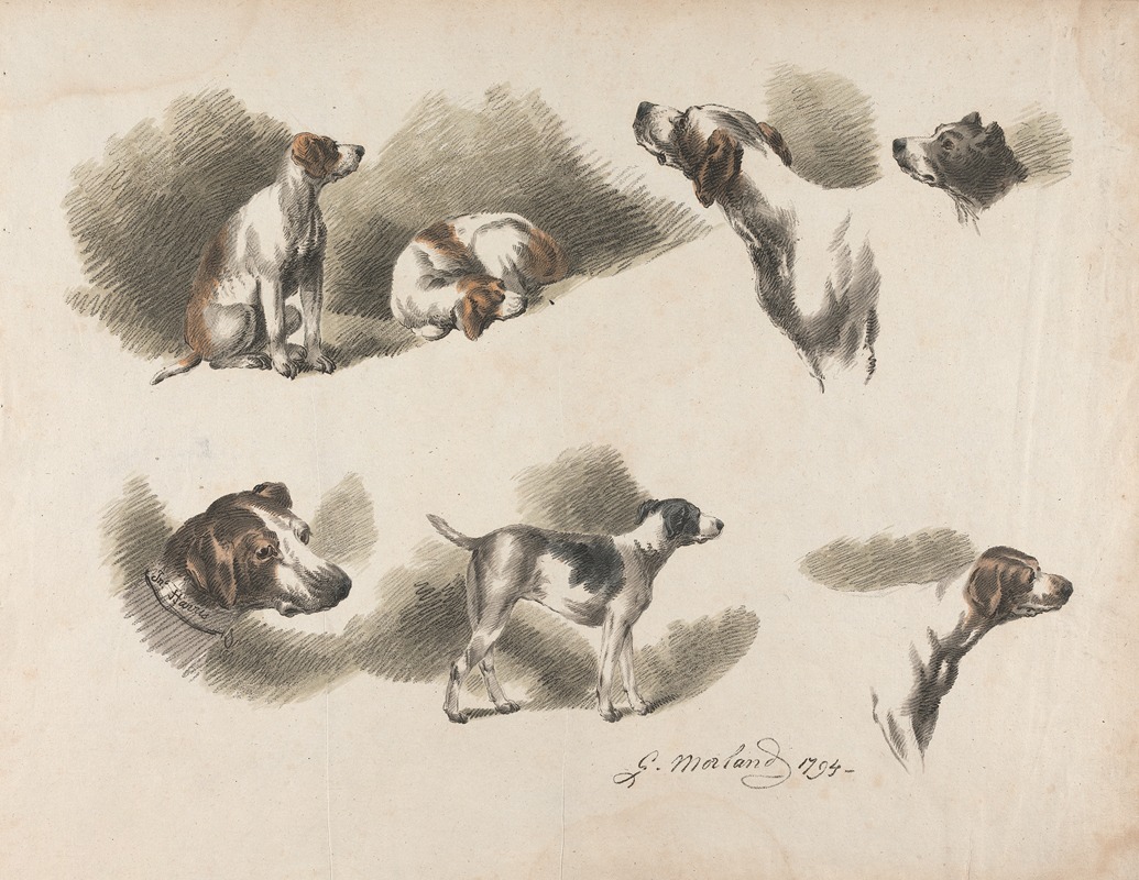 Seven studies on hound by George Morland, 1794 — digital art print download