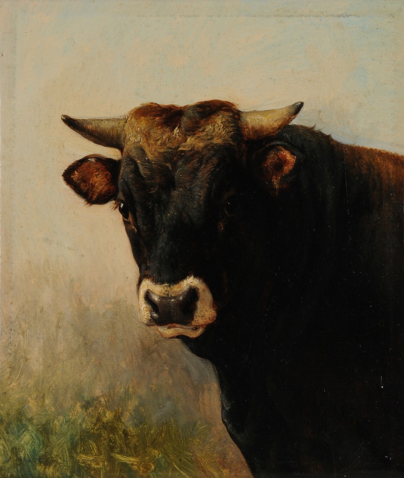 Tête de boeuf noir by Жак-Раймон Брассас — digital art print download